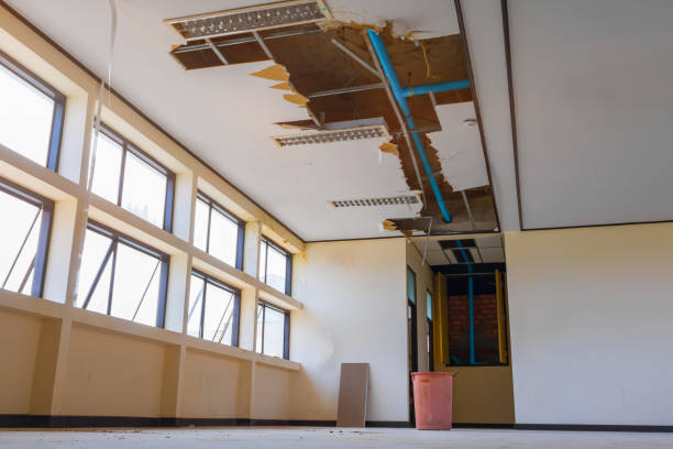 Best Mold removal after water damage  in Bothell East, WA