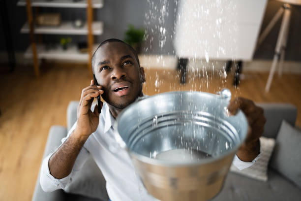 Best 24/7 water damage repair  in Bothell East, WA
