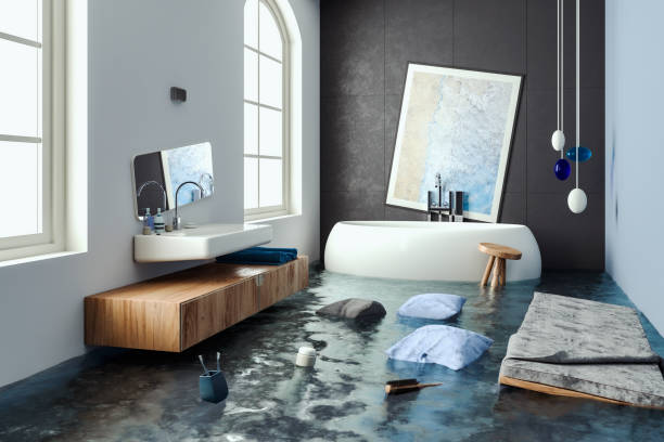 Best Ceiling water damage repair  in Bothell East, WA