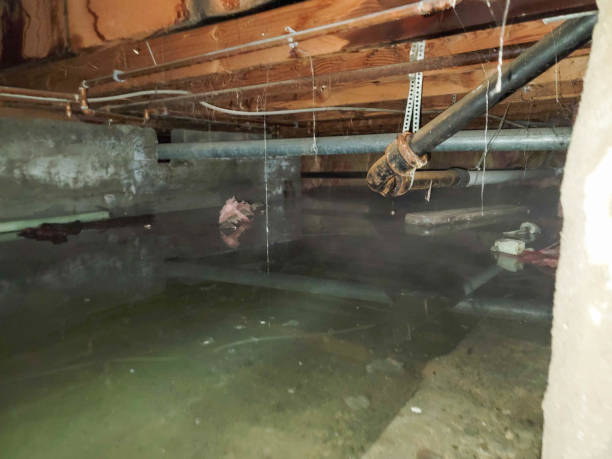 Best Fire Damage Restoration  in Bothell East, WA