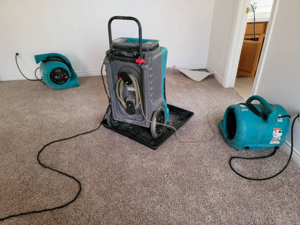 Best Carpet water damage restoration  in Bothell East, WA