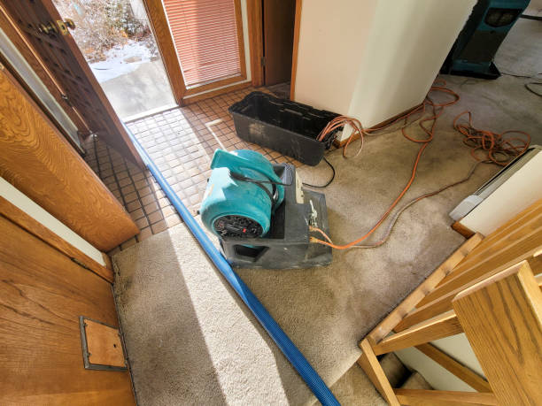 Best Flood damage cleanup  in Bothell East, WA