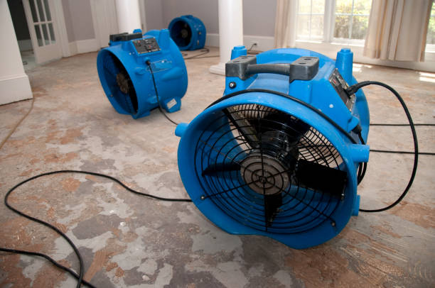 Best Local water damage restoration  in Bothell East, WA