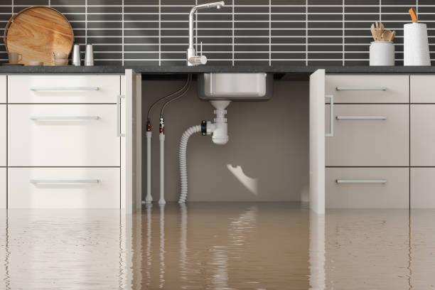 Best Flooded house restoration  in Bothell East, WA