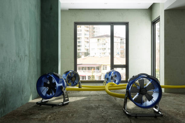 Best Basement water damage restoration  in Bothell East, WA