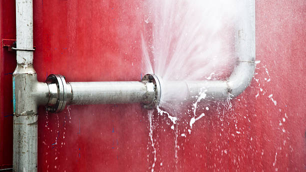 Best Flood restoration services  in Bothell East, WA